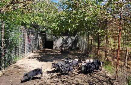 Agriturismo Il Drago - Foto 80