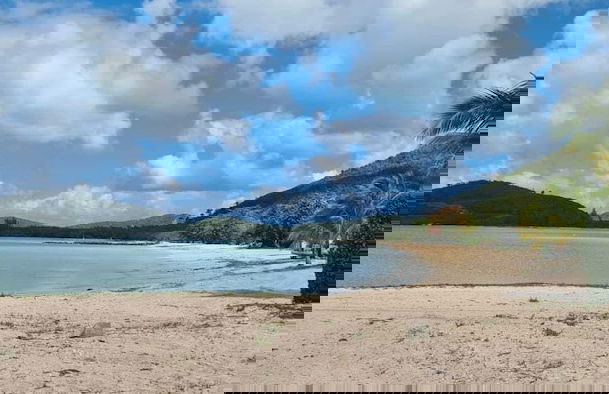 Wild Lotus Villa - Waterfront on Jolly Harbour - Photo 28