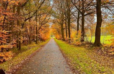 Wunderschöne Ferienwohnung mit Balkon auf dem Bauernhof - Foto 34