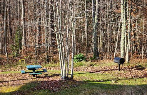 The Davis Ridge - Photo 30