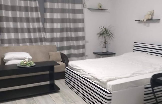 Impeccable 1-bed Studio in Roșu - Foto 2