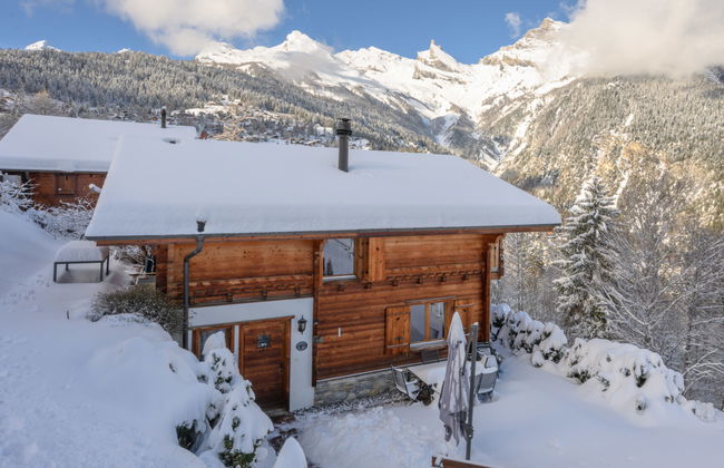 Ecureuil noir - Foto 2