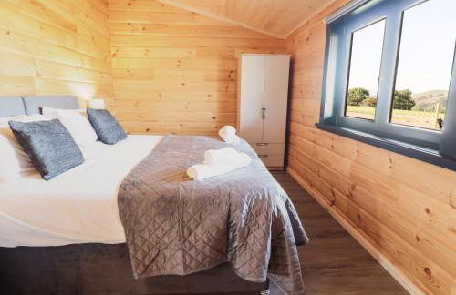 Bacheiddon Log Cabin - Photo 15