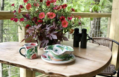 Secluded Glamping Tree Tent with Outdoor Soaking Tub & Private Pizza Oven Near Waterfalls, Zirconia, NC - Foto 17