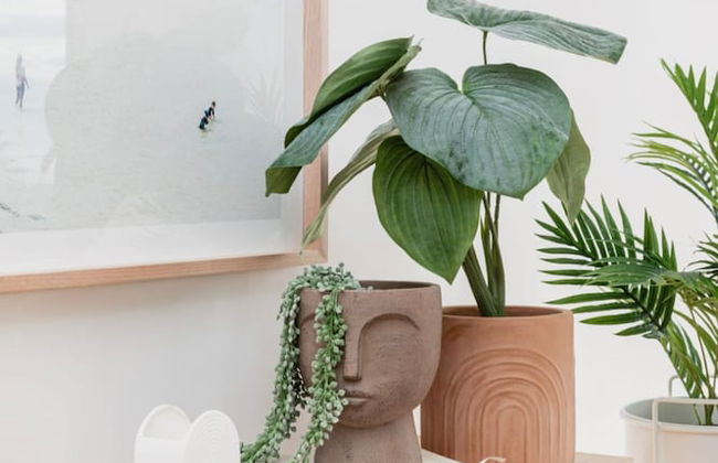 Clifftop Luxury With Spectacular Ocean Views - Photo 11