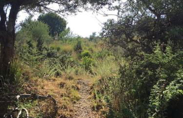 Appartamento per 2 persone con vista sulle Eolie Casa Spisidda "Lipari" - Foto 31