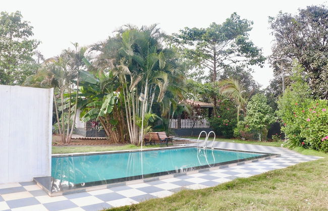 Little Heaven Villa - Photo 10