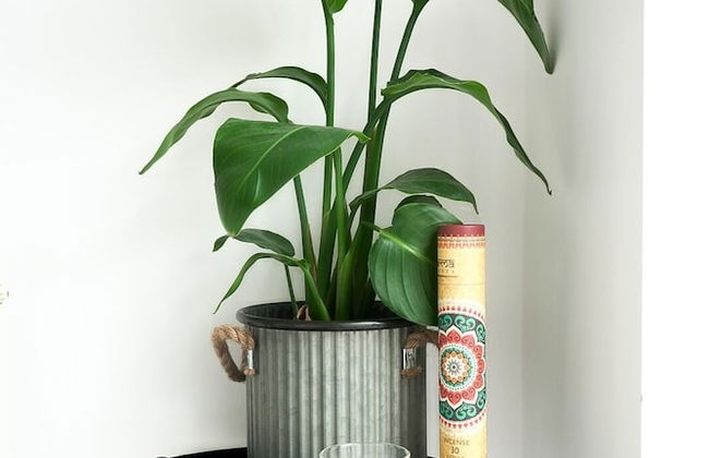 Irving House - Photo 4