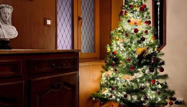 Order of Flamel - Foto 3