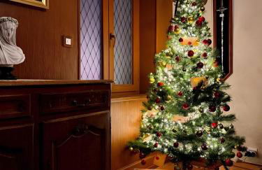 Order of Flamel - Foto 3