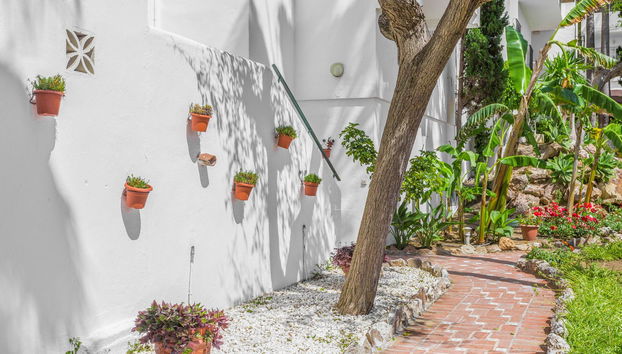 Royal Oasis Club at Pueblo Quinta - Foto 4