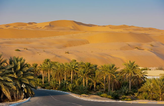 Private Liwa Full Day Desert Safari para parejas - Foto 1