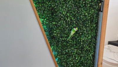 Calaidonia boat house - Foto 2