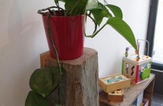 Cosy ferme de village en baie du Mont Saint Michel - Foto 22