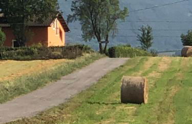 Dreams Valley - Foto 23