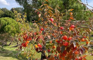 RESORT Panoramico Canale Suite - private parking - Natural Park - Photo 78