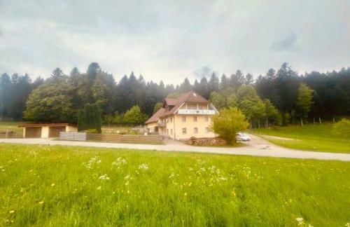 Badischhaus am Waldrand & Weitblick - Foto 39