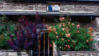 Mountain View Farm Cottage - Foto 3