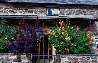 Mountain View Farm Cottage - Foto 3