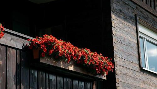 Ferienwohnungen Im Ried - Foto 5