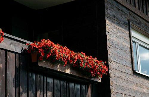 Ferienwohnungen Im Ried - Foto 5