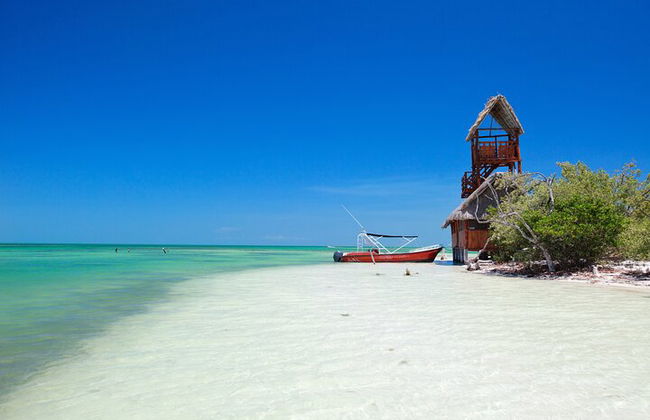 Ganztägige Tour nach Holbox und Passion Island mit Cenote, Transport und Mittagessen - Foto 20