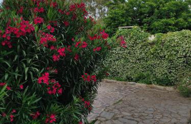 Agriturismo Asara - Foto 22