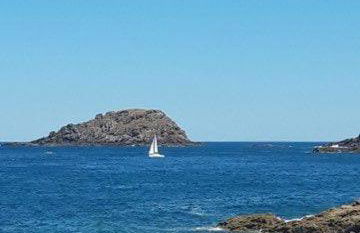 St Malo, chez Laure - Foto 6