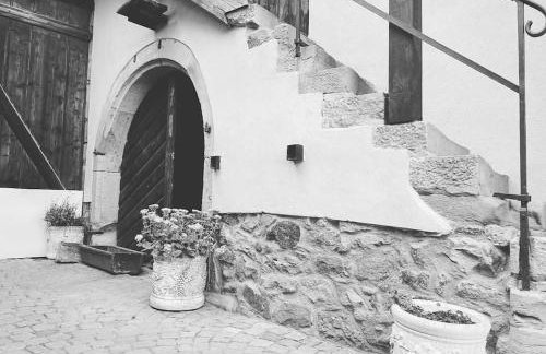 Gîte Origin Gueberschwihr - Photo 39