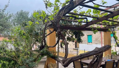 Villa Caterina- Oasis of tranquillity - Foto 4, Other