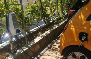 Apartmani Ana & Milo - Foto 5