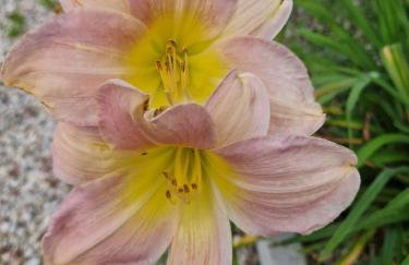 Apartamenty Szepty Mazur - Foto 53