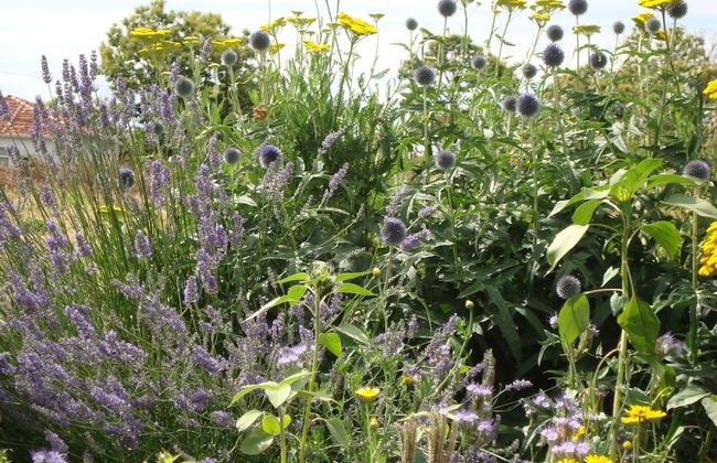 A Casa da Eira - Foto 43