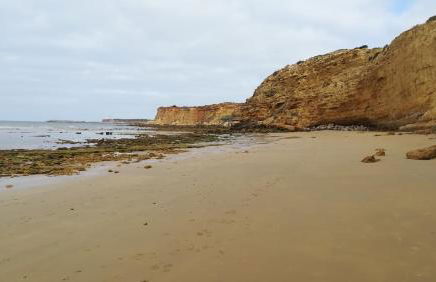 Cortijo El Almendro, Urb. Fuente del Gallo, Conil - Foto 6