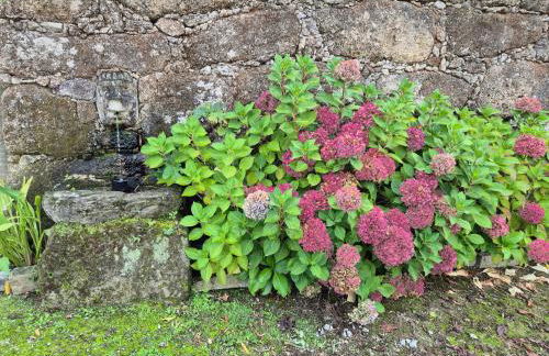 Barrocal Nature Houses - Foto 48