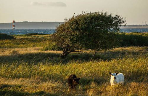 Paulsen Häuschen - Schloss Gelting - Foto 18