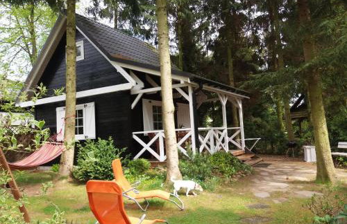 White & Black - Photo 36