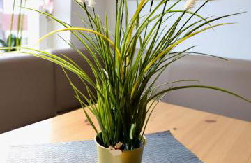 Angela Apartments - Foto 57