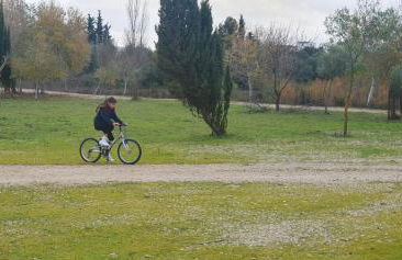 Finca Rural El Piketa - Foto 14