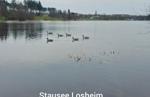 Ferienwohnung Am Bonzenberg - Foto 32