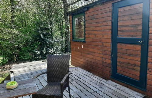 Urlaub in der Bauwagenidylle - Foto 2