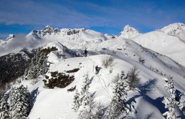 GrappaLand - Foto 31