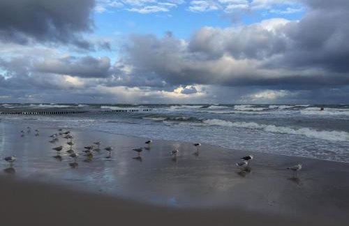 Landhaus mit Garten - Foto 51