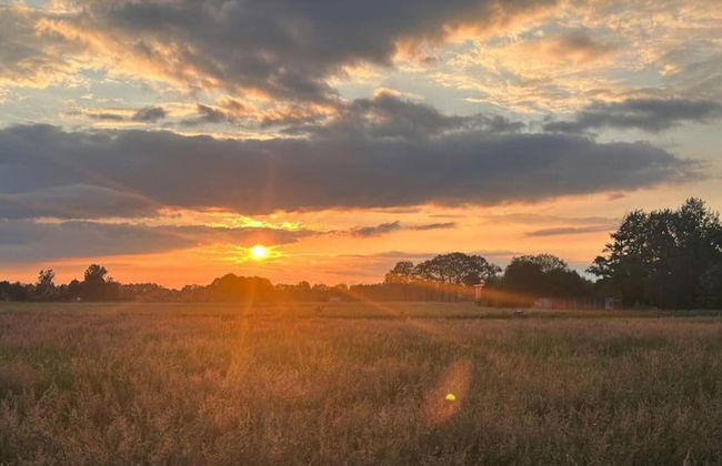 Holiday Home in Haarle Near Sallandse Heuvelrug - Foto 31