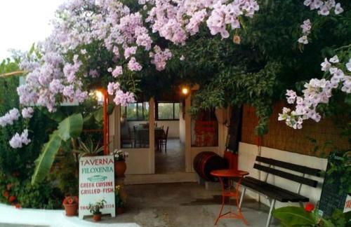 Theodore Apartments - Foto 23