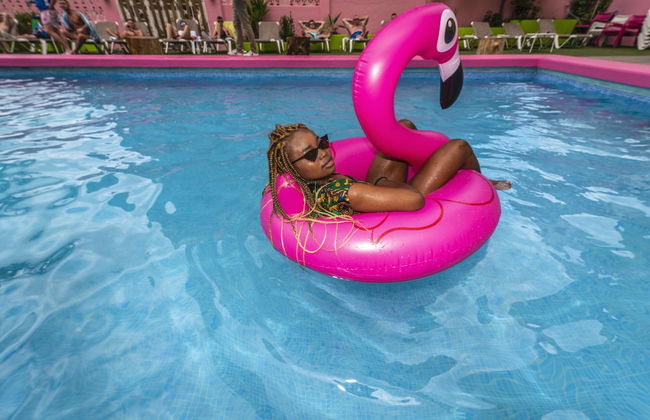 Now Benidorm Apartments - Photo 79