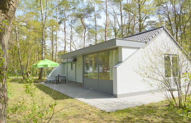 Inviting Holiday Home in Stramproy With Terrace - Photo 33