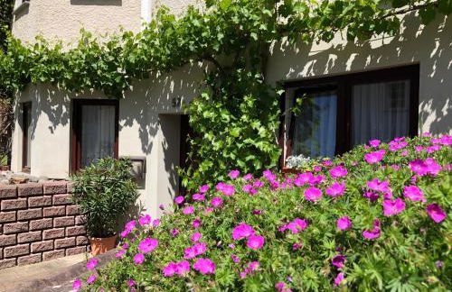 Hirtenrasen 52A - Photo 16