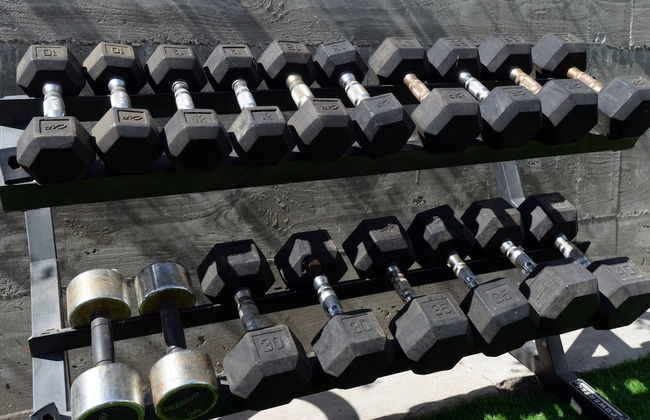 Spacious House on Melrose w Private Backyard Gym - Photo 21