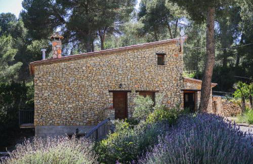 Masia Pou de la Vinya - Photo 36